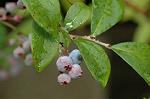Dcim5052/DSC_7502