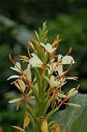 Dcim5052/DSC_7547