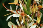 Dcim5052/DSC_7549