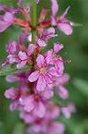 Dcim5052/DSC_7560