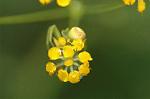 Dcim5053/DSC_7607