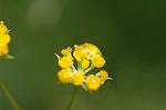 Dcim5053/DSC_7608