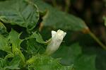 Dcim5053/DSC_7615