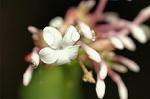 Dcim5053/DSC_7653