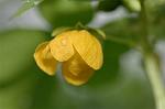 Dcim5053/DSC_7683