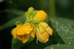 Dcim5053/DSC_7696