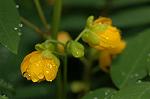 Dcim5053/DSC_7697