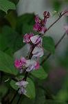 Dcim5054/DSC_7718