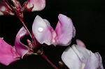 Dcim5054/DSC_7728
