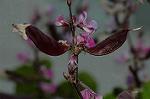 Dcim5054/DSC_7734