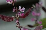Dcim5054/DSC_7739
