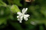 Dcim5054/DSC_7750