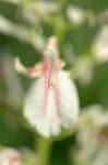Dcim5054/DSC_7763