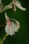 Dcim5054/DSC_7773