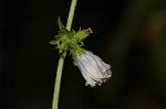 Dcim5054/DSC_7797