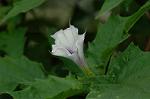 Dcim5054/DSC_7811