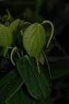 Dcim5055/DSC_7884