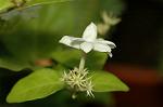 Dcim5055/DSC_7894