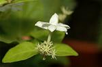 Dcim5055/DSC_7895