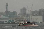 Dcim5061/DSC_8590