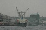 Dcim5061/DSC_8591