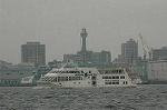 Dcim5061/DSC_8594