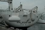 Dcim5063/DSC_3588