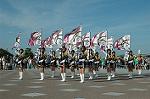 Dcim5070/DSC_9529