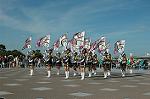 Dcim5070/DSC_9532