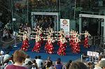Dcim5071/DSC_9733
