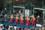 Dcim5071/DSC_9735