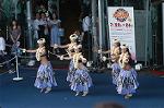 Dcim5073/DSC_3903