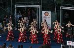 Dcim5073/DSC_3911