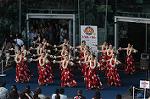 Dcim5073/DSC_3915