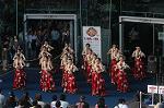 Dcim5073/DSC_3918