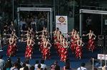 Dcim5073/DSC_3919