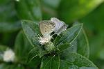 Dcim5087/DSC_0623