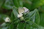 Dcim5087/DSC_0624