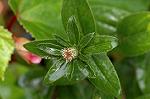 Dcim5087/DSC_0625