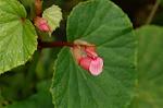 Dcim5087/DSC_0630