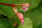 Dcim5087/DSC_0632