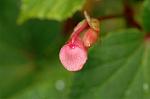 Dcim5087/DSC_0635