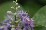 Dcim5088/DSC_0720