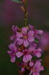 Dcim5088/DSC_0764
