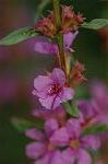 Dcim5088/DSC_0766