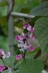 Dcim5089/DSC_0856