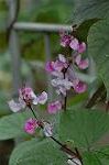 Dcim5089/DSC_0857