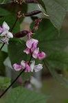 Dcim5089/DSC_0858