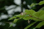 Dcim5089/DSC_0932