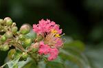 Dcim5090/DSC_1062